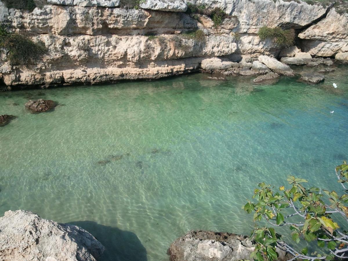 Terrazza Dolce Vista Διαμέρισμα Monopoli Εξωτερικό φωτογραφία