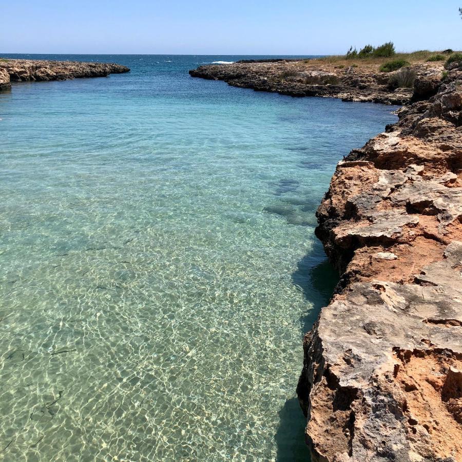 Terrazza Dolce Vista Διαμέρισμα Monopoli Εξωτερικό φωτογραφία